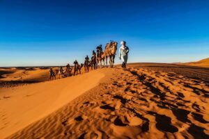 Read more about the article 4 day Merzouga trip, discover the south