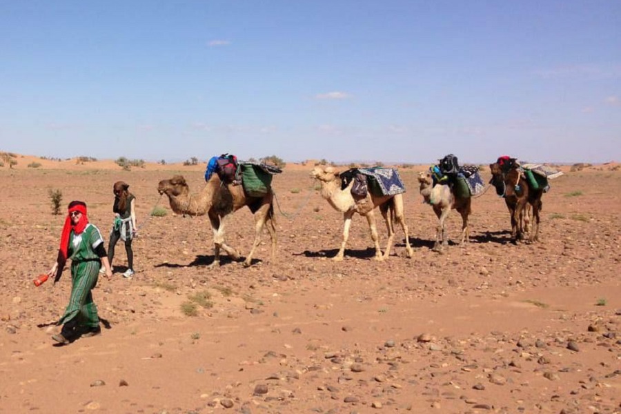 Morocco Tours- Morocco Walking Holidays- Camel Trekking