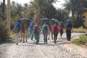 Read more about the article DRAA VALLY TRAIL 6 night 7 days meet locals